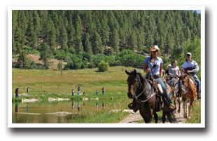 Horse back riding in Woodland Park, Colorado